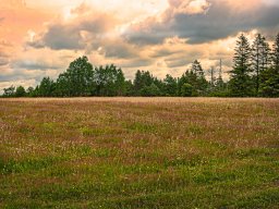 IMGP6149-1_Borris Soenderland